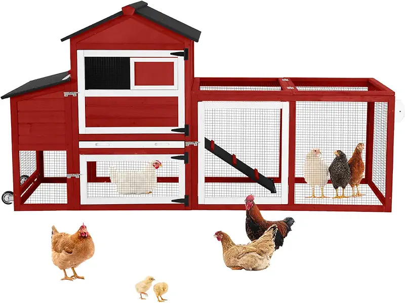 Wooden chicken coop
