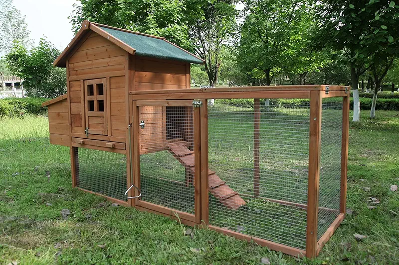 Wooden chicken coop