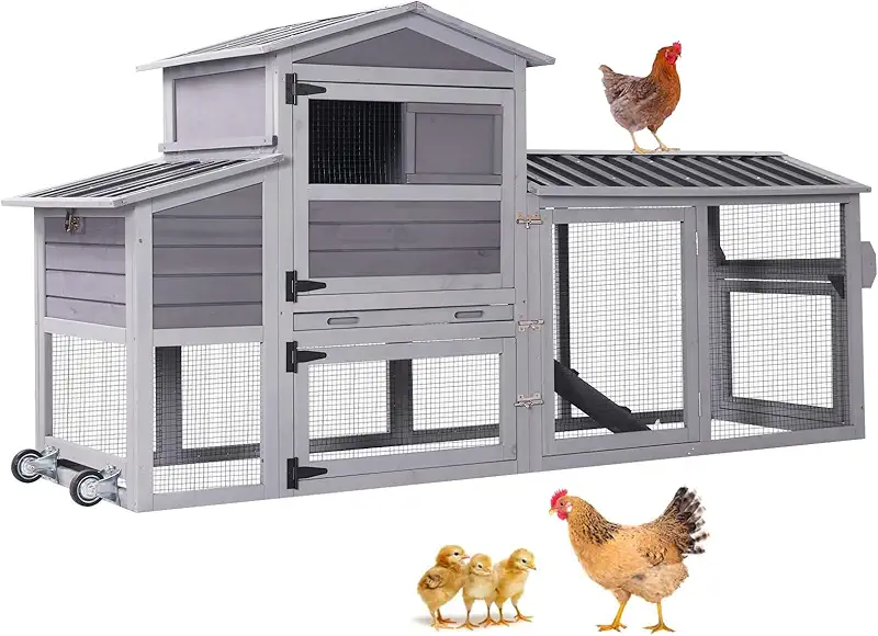 Wooden chicken coop