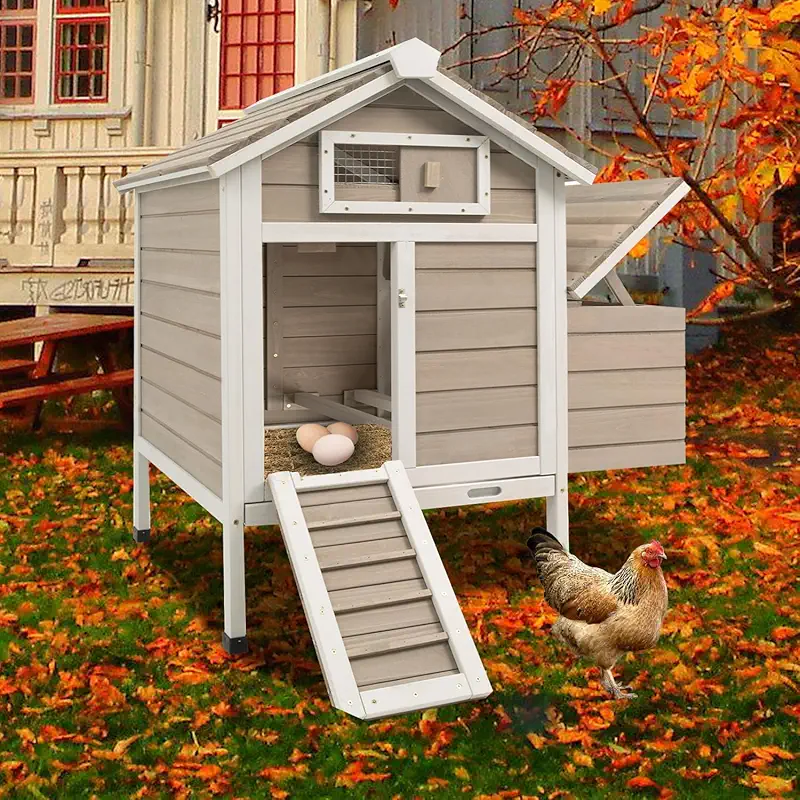 Wooden chicken coop