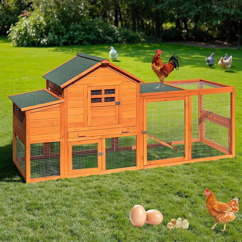 Wooden chicken coop