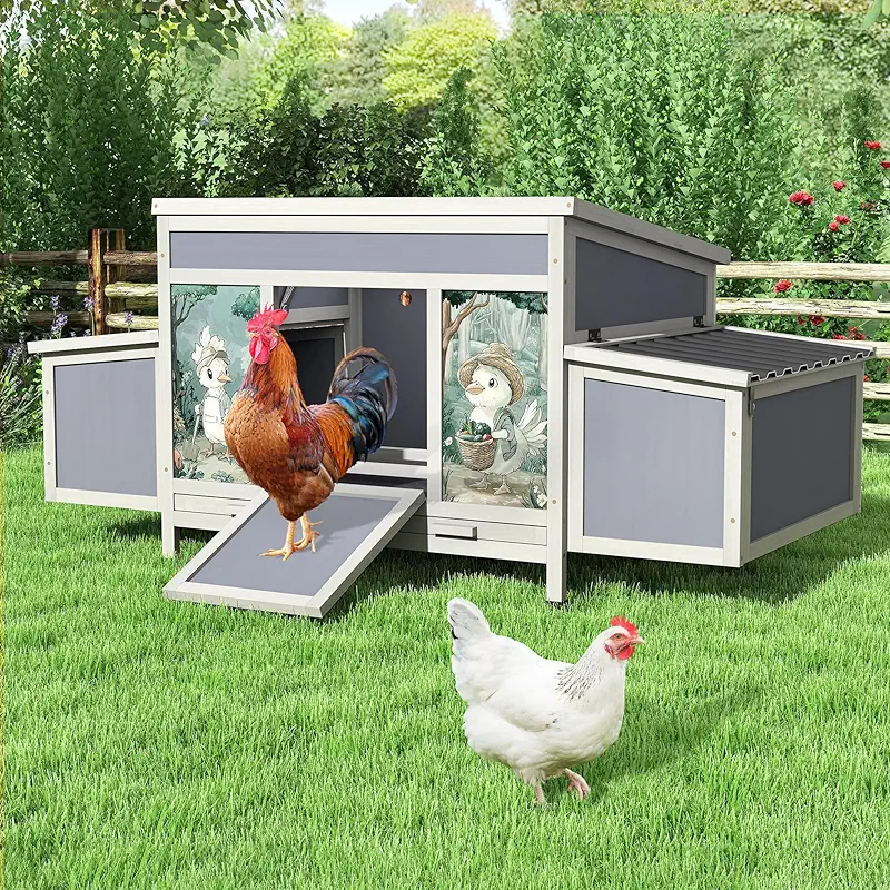 Wooden chicken coop